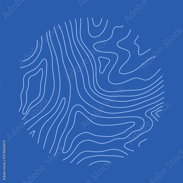 Fototapeta Round topography shapes abstract circle wavy lines