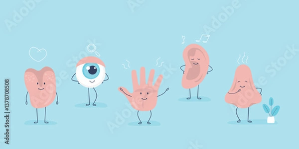 Fototapeta 5 Senses, horizontal banner, template. Funny human organs, happy mascots. Five senses. Touch, sight, hearing, smell and taste. Brain, hand, eye, nose, mouth and ear.