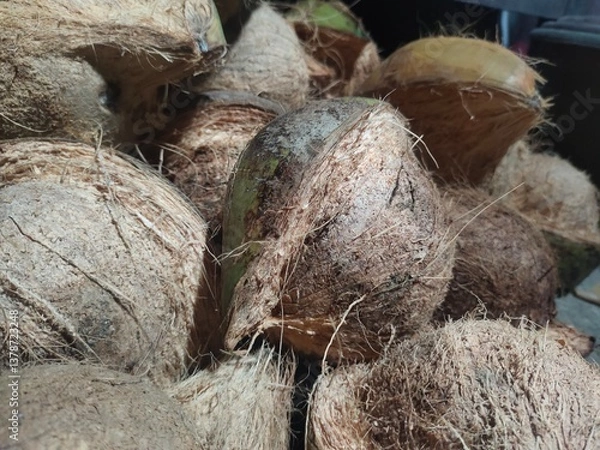 Obraz coconut on the table