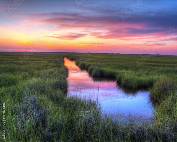 Fototapeta Marsh river sunset