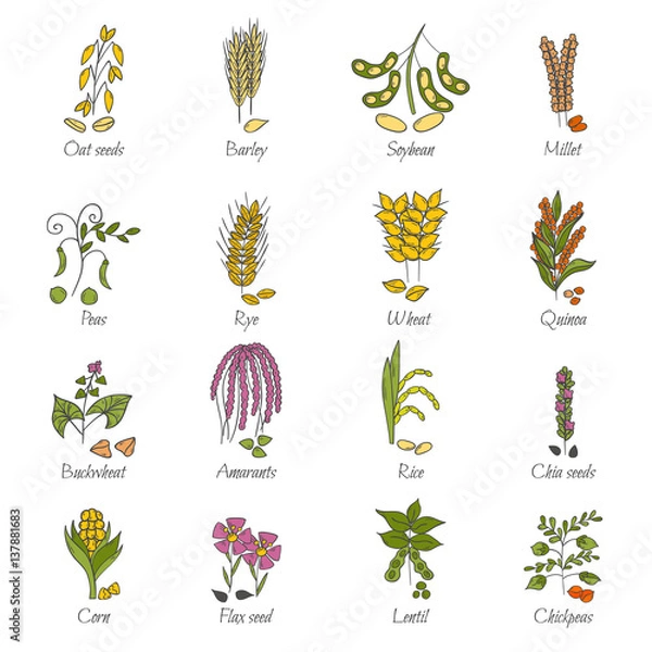 Obraz ГЏГҐГ·Г ГІГј