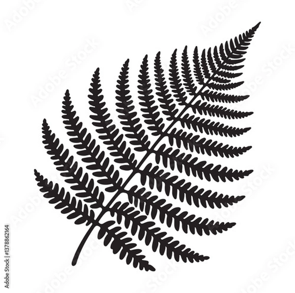Fototapeta Fern leaf line art silhouette vector illustration a white background.