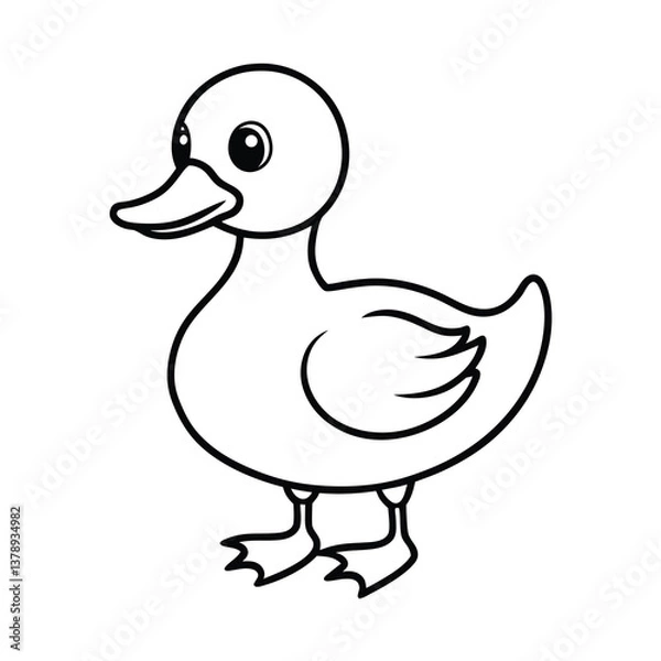 Fototapeta duck and ducklings