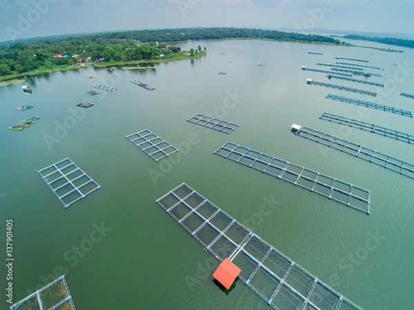 Obraz Fish Farm in Thailand 