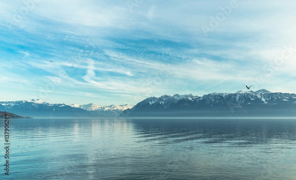 Obraz Landscape view on Geneva lake