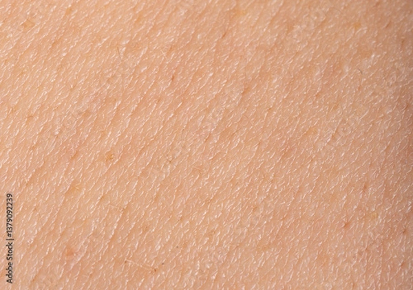 Obraz Macro texture of human skin, closeup view of healthy body skin, rough epidermis detail surface
