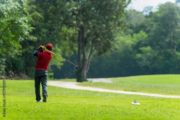 Obraz Golf Swing Isolated