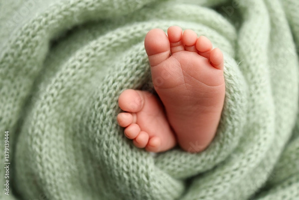 Fototapeta Soft feet of a newborn in a olive green blanket. Close up of toes, heels and feet of a newborn baby.