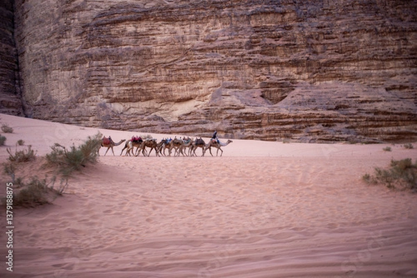 Fototapeta a man rides a camel in the desert,a hot place,the ecology is clean,fine desert sand,camels that carry people and do not suffer from thirst,the hot sun burns the sands,no water,no plants