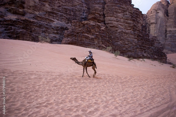 Fototapeta a man rides a camel in the desert,a hot place,the ecology is clean,fine desert sand,camels that carry people and do not suffer from thirst,the hot sun burns the sands,no water,no plants