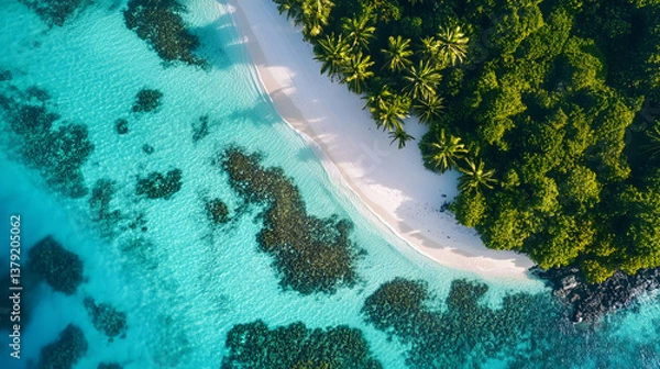 Fototapeta Aerial Drone Shot of Tropical Island with Turquoise Waters, White Sand Beaches, and Coral Reef