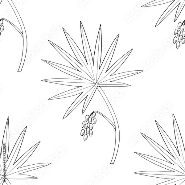 Obraz Saw Palmetto seamless 3