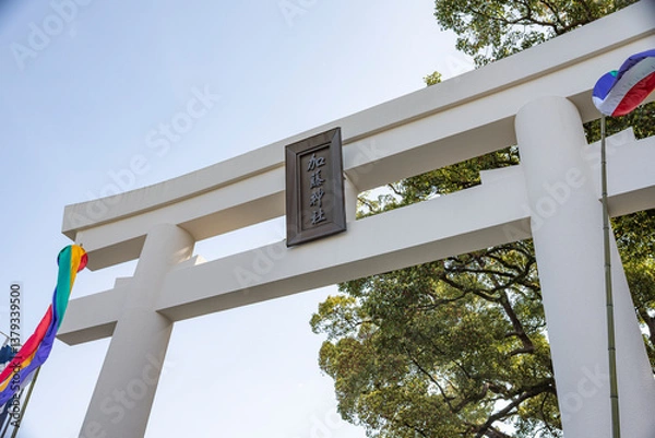 Obraz 空へ向かうようにそびえる加藤神社の鳥居