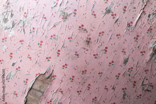 Obraz old peeling pink wallpaper