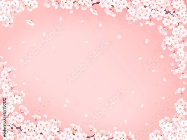 Fototapeta さくら花びらピンクフレーム