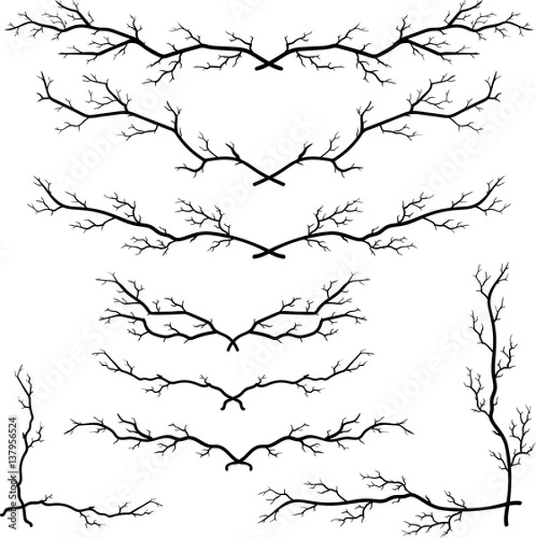 Obraz Big vintage set of gothic rustic design elements. Floral vector frames