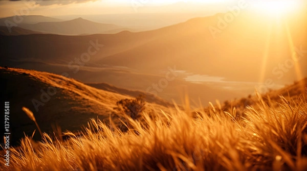 Obraz Golden Hour Landscape Photograph With Sunlit Tall Grass Rolling Hills And Soft Light Rays Creating A Warm Peaceful And Serene Atmosphere