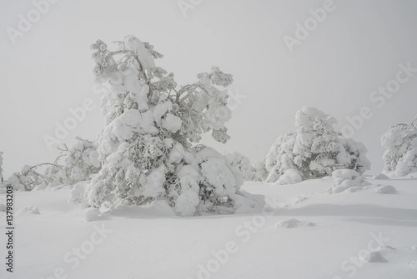 Fototapeta winter mountain