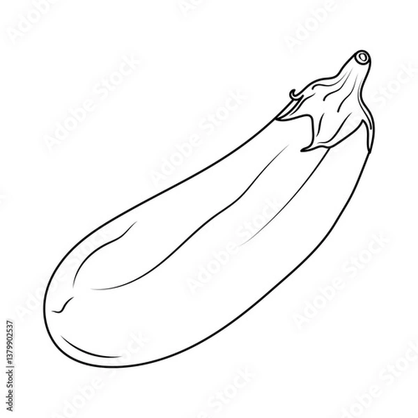 Fototapeta Vector illustration of an eggplant in contour style. Simple linear drawing of a vegetable, perfect for icons, logos, patterns, and design elements. Minimalist outline of an aubergine 
