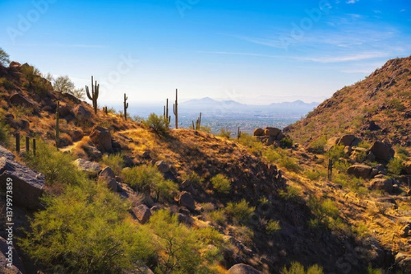 Fototapeta Desert landscape with cacti and rocky terrain along Pinnacle Peak Trail near Phoenix, Arizona, with city of Scottsdale in the background.