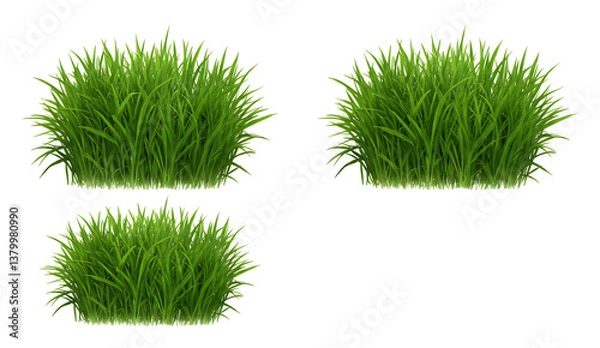 Fototapeta 緑豊か若草群生素材