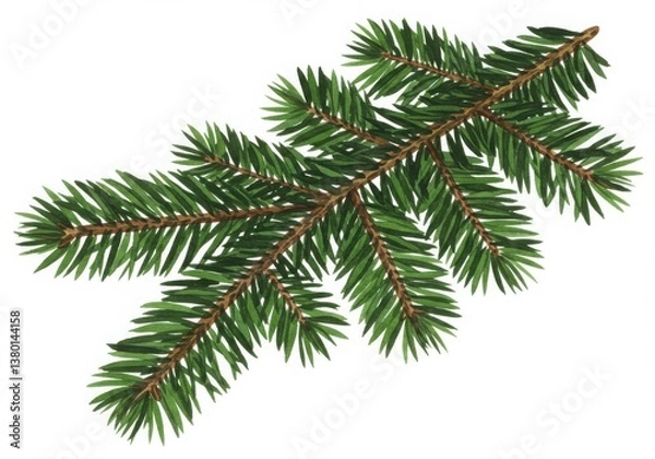 Fototapeta A detailed illustration of a fir branch with green needles on a clean white background art piece