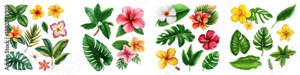 Fototapeta Tropical leaves and flowers isolated on transparent background. PNG ,Set of
