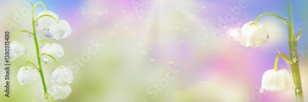 Fototapeta Beauty lily-of-the-valley flower with drops in blue and pink tones . Natural spring background