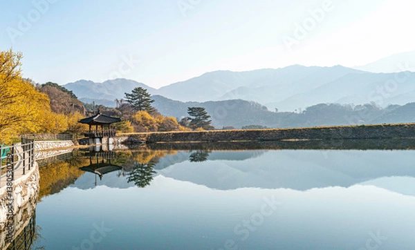 Obraz 구례 현천마을 저수지 가에 핀 노란 산수유꽃