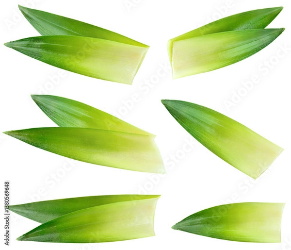 Fototapeta Pineapple leaf isolated png. Pineapple leaves on transparent background. Cut pineapple leaf no background top view. Pineapple leaves transparent png collection. Full depth of field.