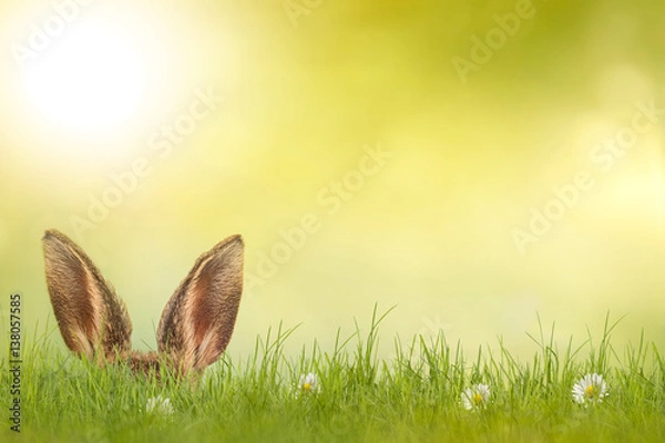 Obraz Wesołego Alleluja