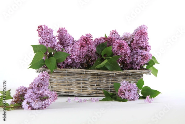 Obraz Stillleben mit Blüten vom Flieder