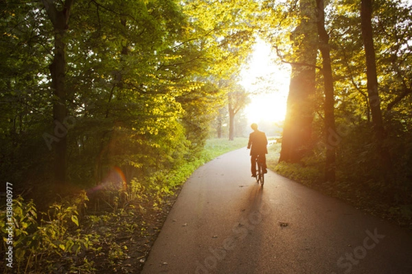 Obraz bicycle into the ray