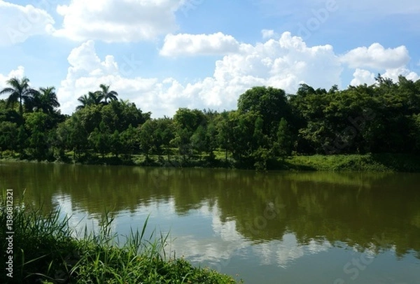 Obraz river in the forest