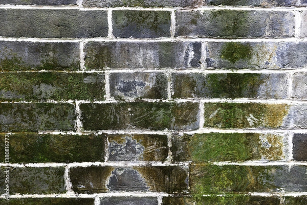 Fototapeta Moss-covered brick texture background pattern