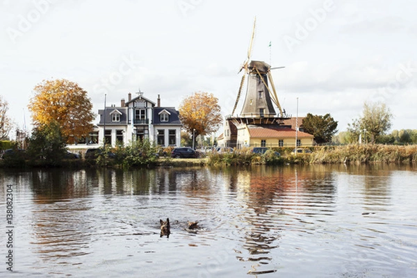 Obraz windmill in Rotterdam