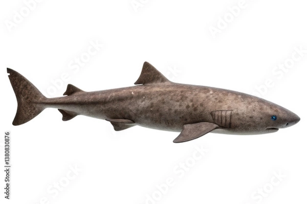 Fototapeta Unique representation of a prehistoric shark fossil swimming in ocean waters showcasing its ancient features and evolutionary significance