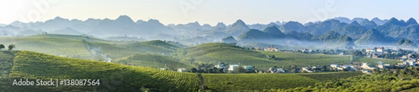 Obraz Green tea hills