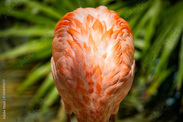 Obraz Ein majestätischer Flamingo