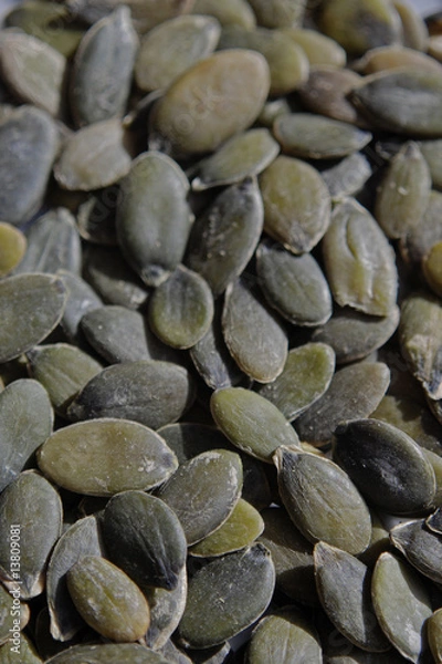 Fototapeta Graines de Courge - Pumpkin Seeds