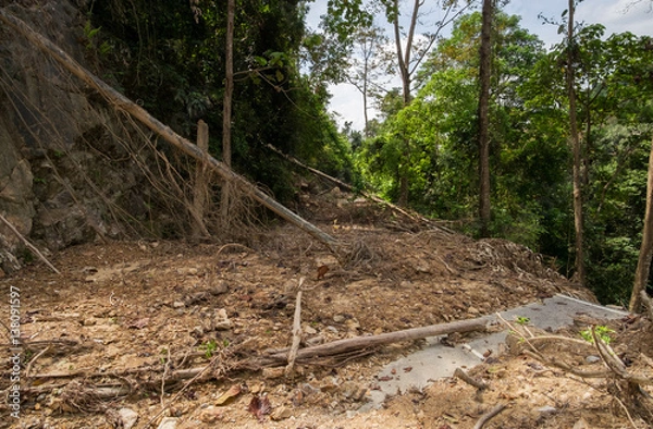 Fototapeta Road covered with mudflow