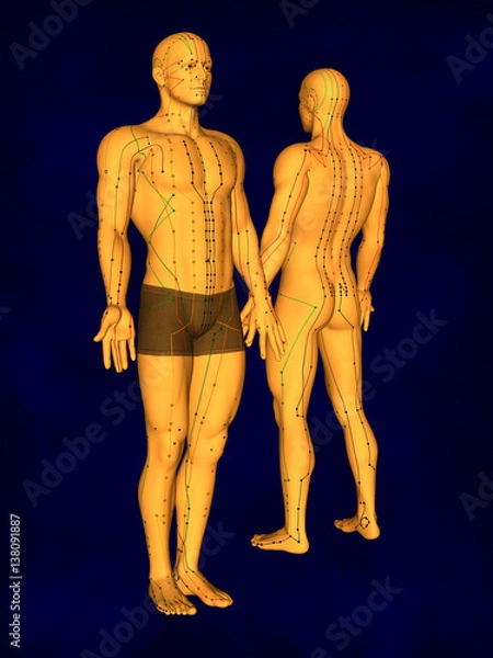 Obraz Acupuncture Model