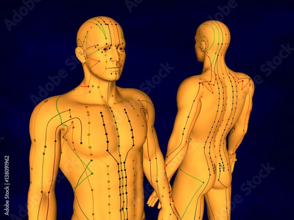 Obraz Acupuncture Model