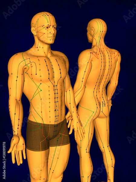 Obraz Acupuncture Model