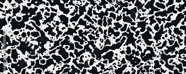 Fototapeta Leopard skin texture. Black and white abstract background