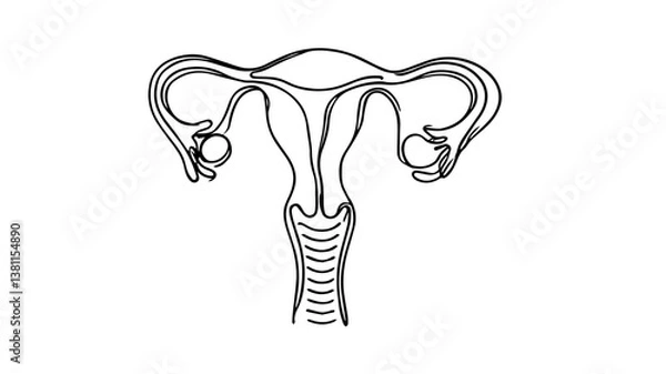 Fototapeta  A minimalist continuous one-line drawing of a realistic uterus organ