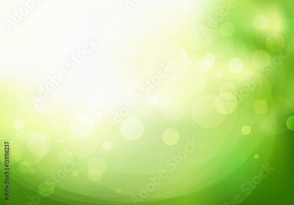 Obraz Colorful spring background