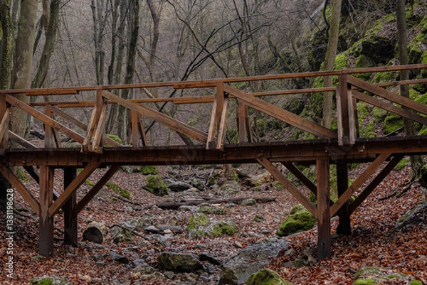 Obraz old wooden bridge