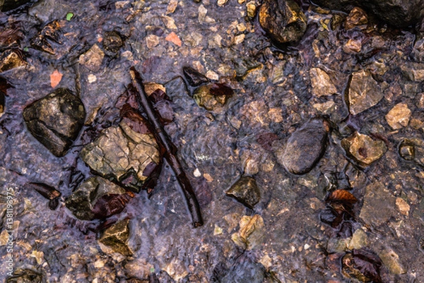 Obraz stone in the water