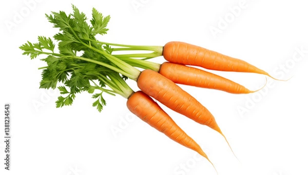 Fototapeta A bunch of fresh carrots with green tops lying on a  in a studio shot close up view on transparent background png